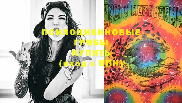 ECSTASY Иннополис