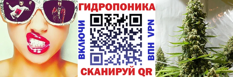 Купить где  Весьегонск  Каннабис Amnesia 